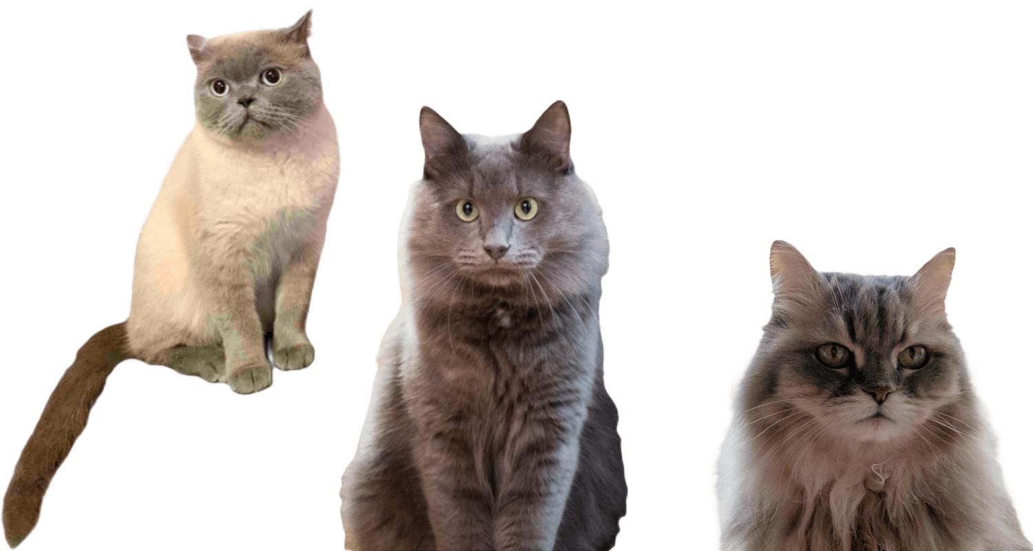 mcats max